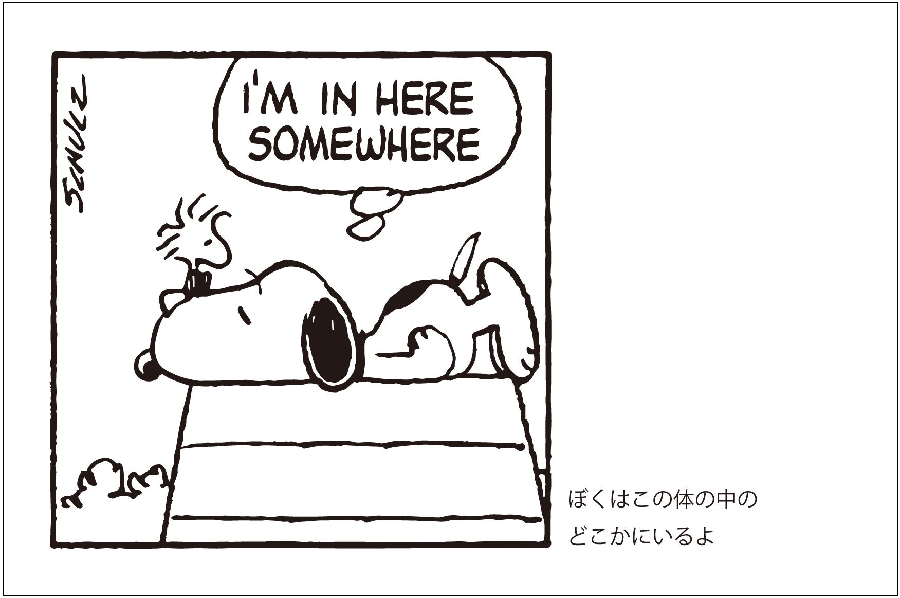 Snoopy In Seasons Quotes From Peanuts 付録 スヌーピー おでかけトートバッグ 雑誌付録ダイアリー 発売予定 レビューブログ
