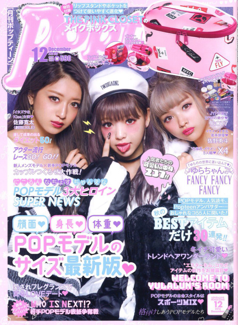 Popteen (ポップティーン) 2016年 12月号【付録】THE PINK CLOSET メイクボックス 雑誌付録ダイアリー【発売